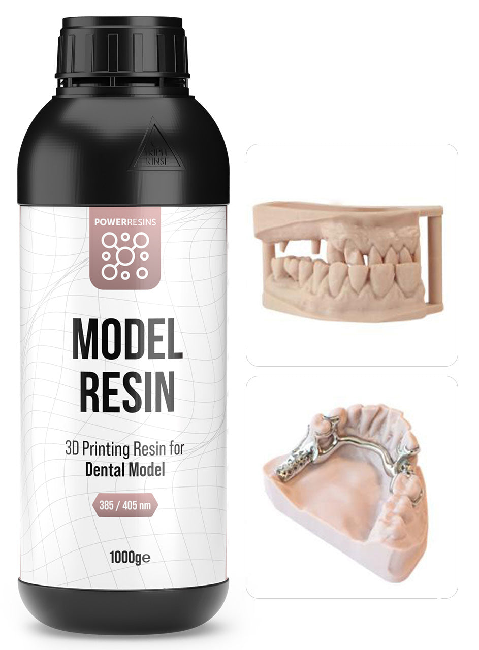 MODEL - Dental Model Resin